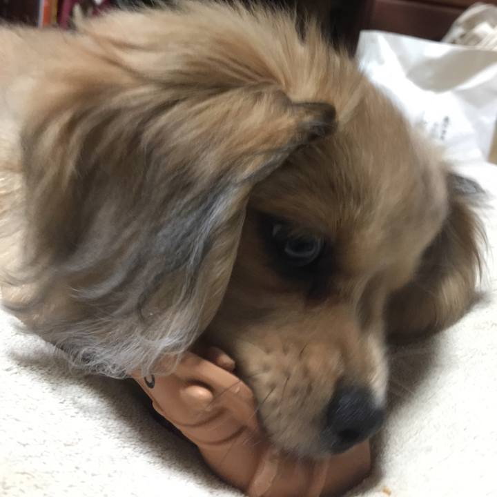 7fc3eb93 550c 464a 8c39 9dc0327a728a 1536269751151