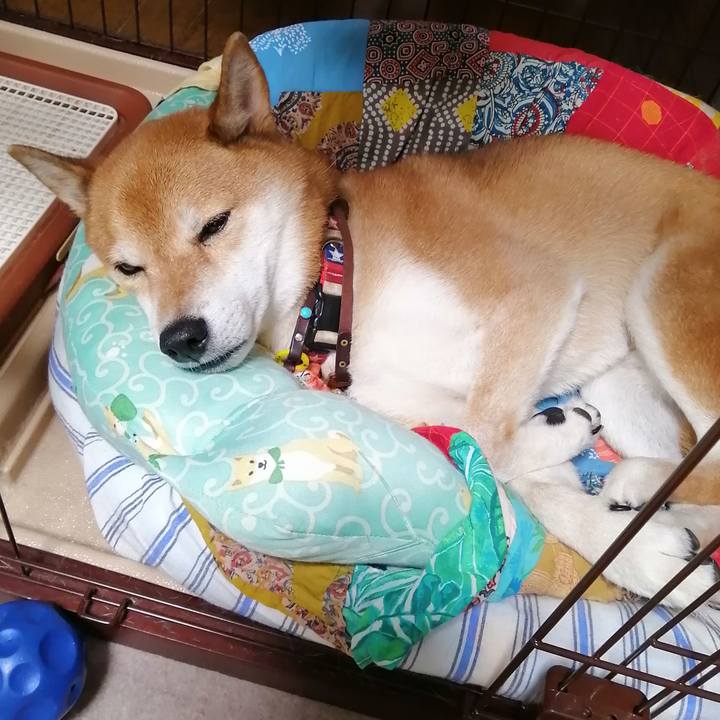 7fc3fba3 62b1 4dc1 acf5 0b542968d1a5 1665975137234