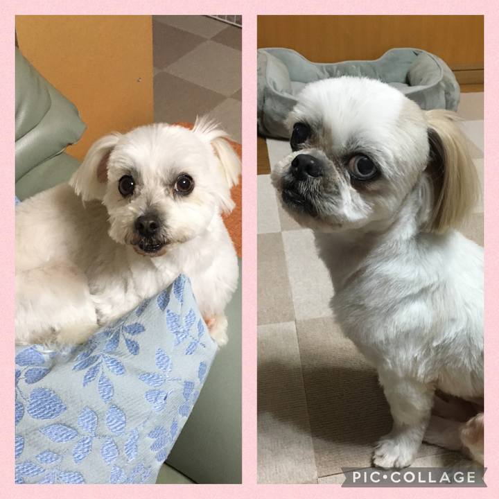 7fc40214 36c1 4b6c b349 ecbee6d2e788 1639212203558