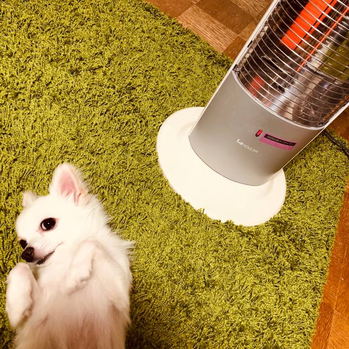 7fc40d7f a8b2 4a5c 8dd3 e1ea07ba8058 1540021254804