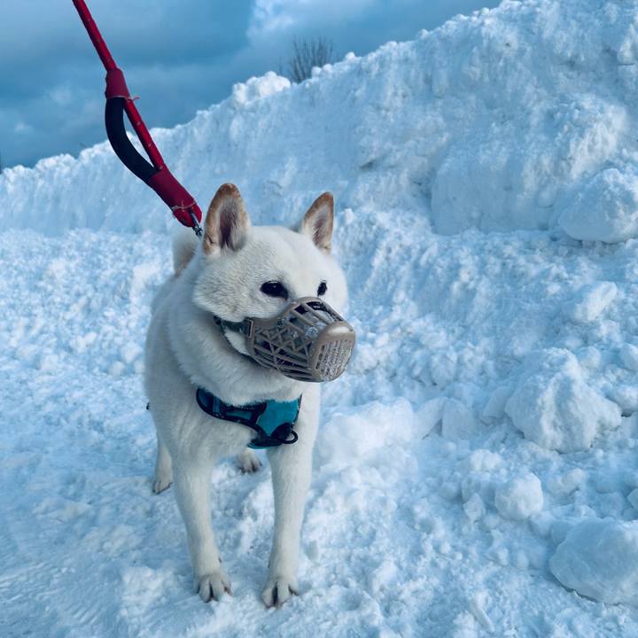 7fc4794b 72ef 4230 ab57 e5126a354a08 1735510042130