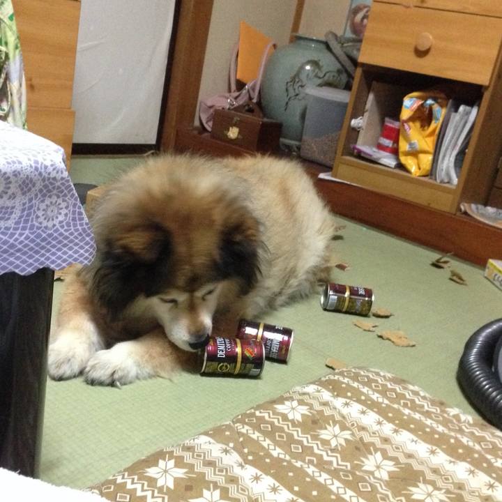 7fc48b89 78ba 4f90 bcff 00ef3f190ae8 1595762691364