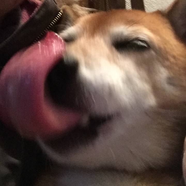 7fc48e6a f2d9 47e3 8add 306433c2e893 1607321881766