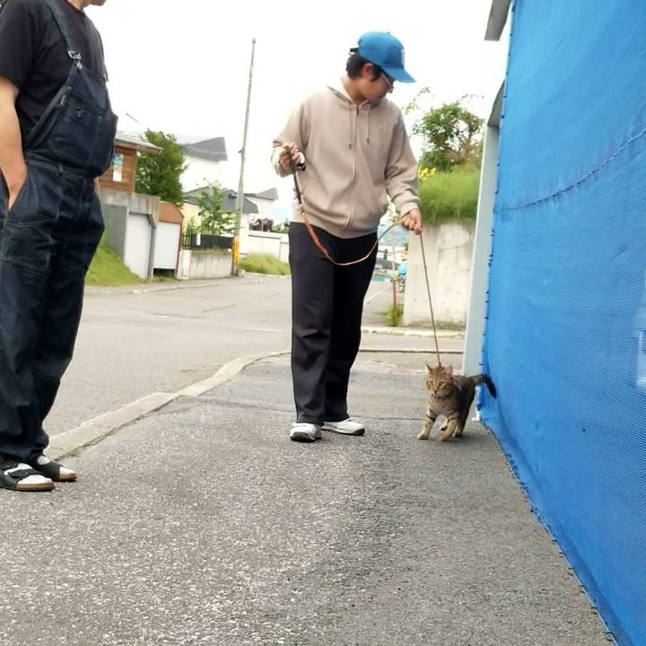 7fc4b37a 733e 4f1d bd99 9cc133ab7a21 1659107864178