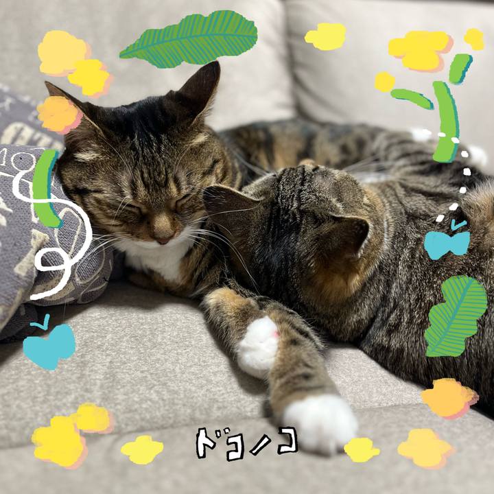 7fc4bc0c a7fb 4649 82aa 2e851bd7ec88 1744815282172