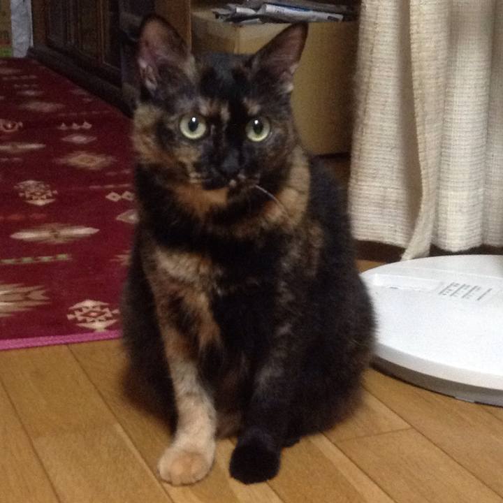 7fc4d95a 8f30 4f4c a9ed aad6aa6172ce 1508886055731