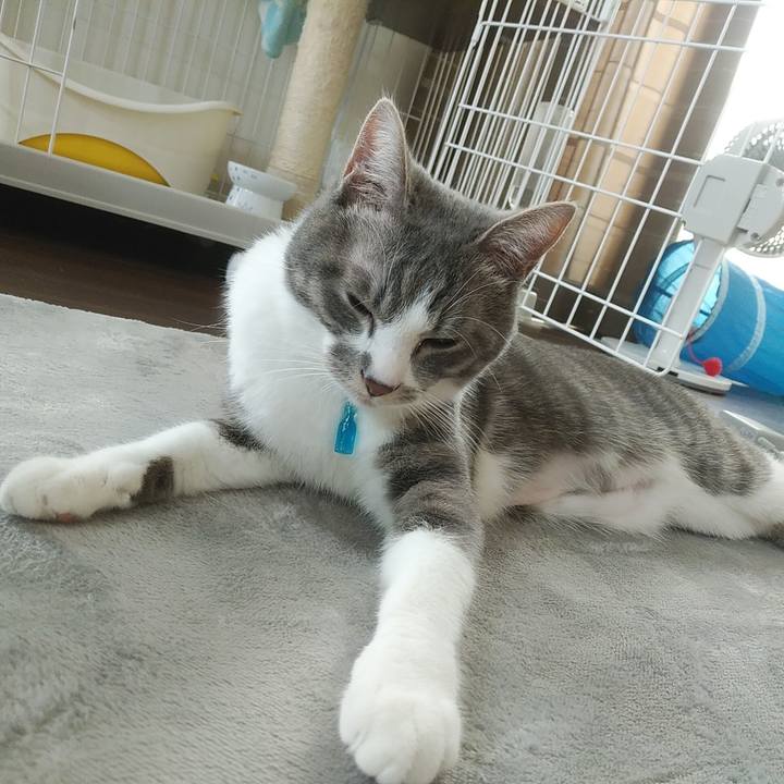 7fc5a090 dd50 4ded aaa4 a96ee769c99c 1587093217156