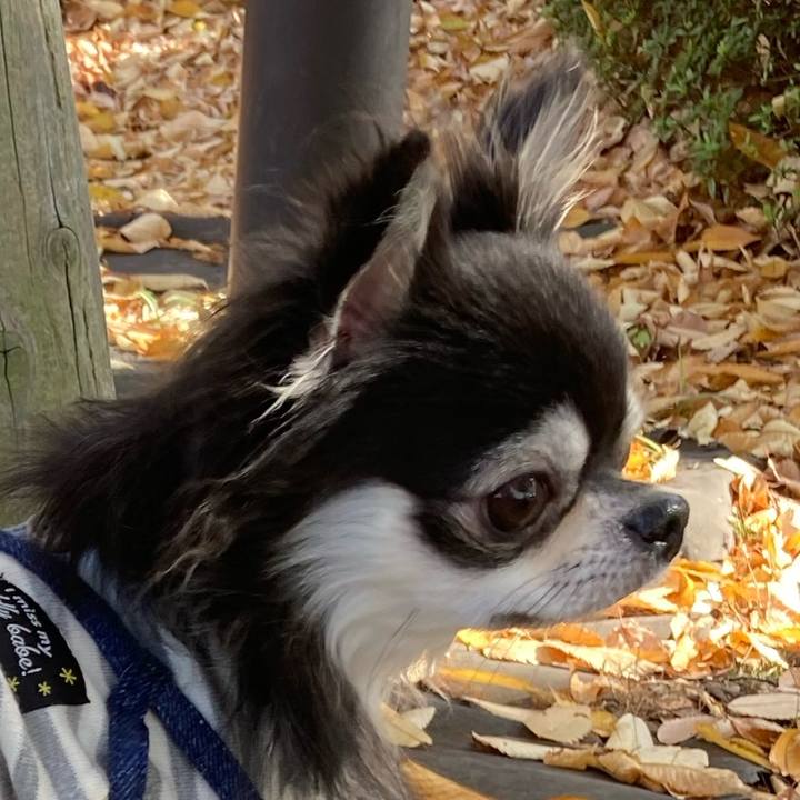 7fc5b56a 492c 4c6d bf1b cc40f3458061 1668743825933