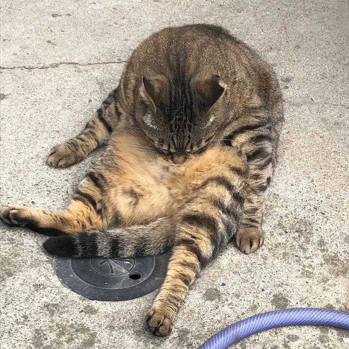 7fc5c110 5605 45a2 862f 0a43e3484aeb 1527378383925