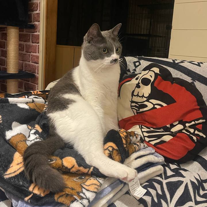 7fc5d52c 4caf 4369 9683 28a083866139 1703071033010