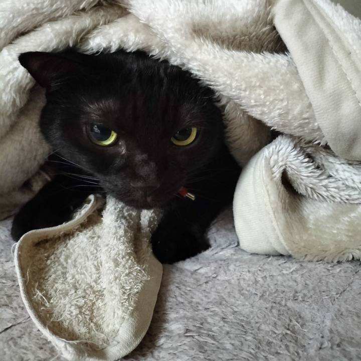 7fc5df1f 68d0 4383 a866 a95dc0aed3ac 1669159557289