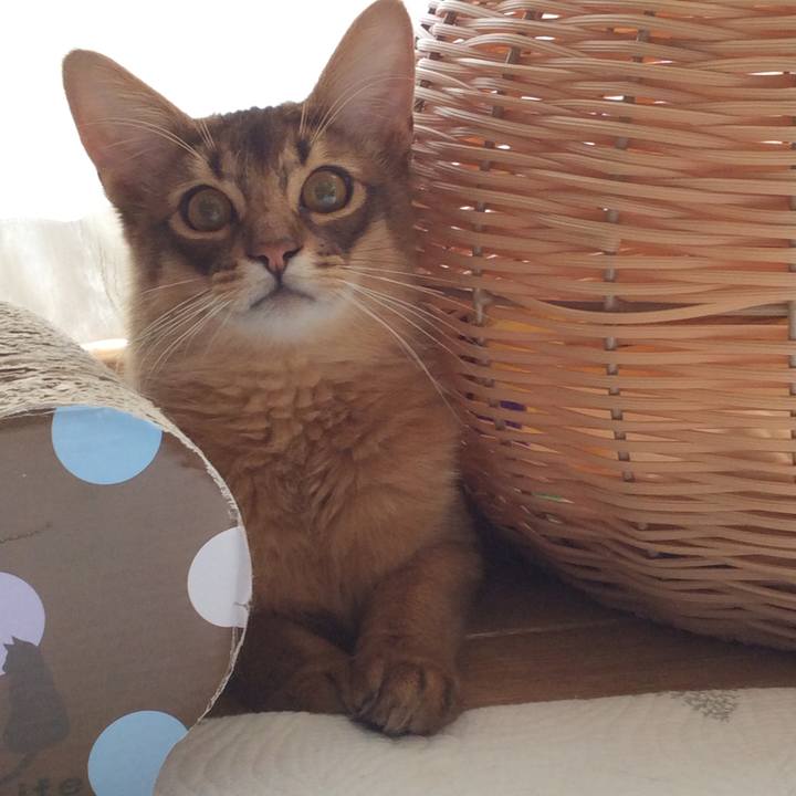 7fc620c7 4d7a 4f20 8142 8432e6d4ac3e 1586762557625