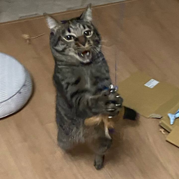 7fc63c83 765d 44aa ba1d 597b71ba22e0 1662204455265