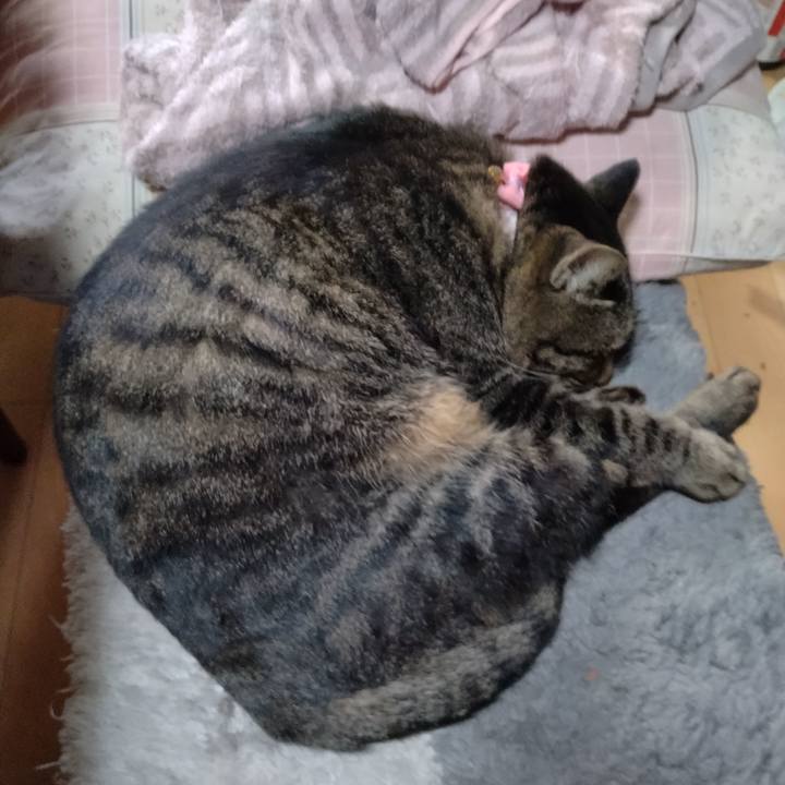 7fc640f7 3f1d 4467 8d59 84f6dde10eb6 1669164238439