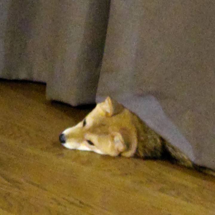 7fc6675f ba83 4110 9dcf ae3bf2c031e8 1628471434888