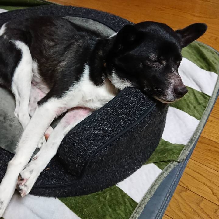 7fc690cc 8710 49de 814a 12f8e37ac436 1554088126146