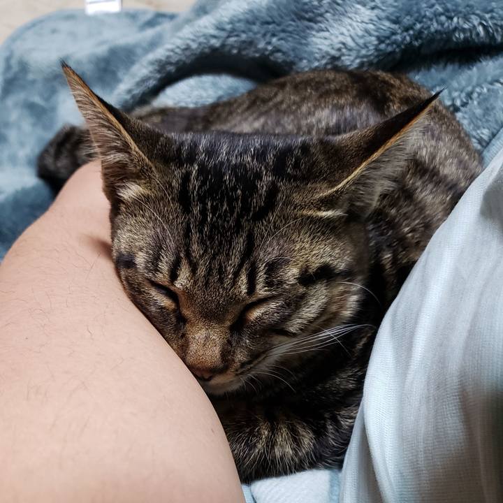 7fc6b6f4 e17e 4f38 8f5e 2a04082631a5 1545213497946