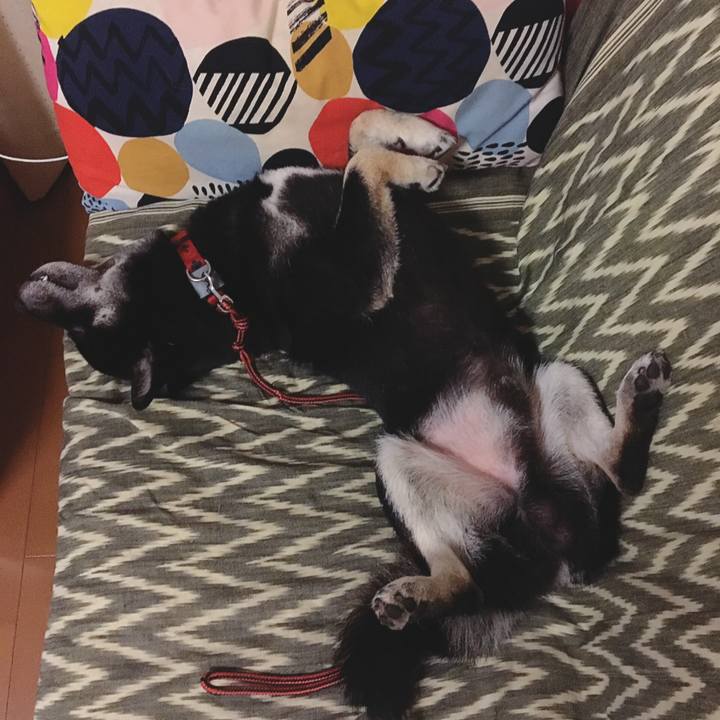 7fc6d56d b961 468f 897f 918bd29a7f1b 1562945825380