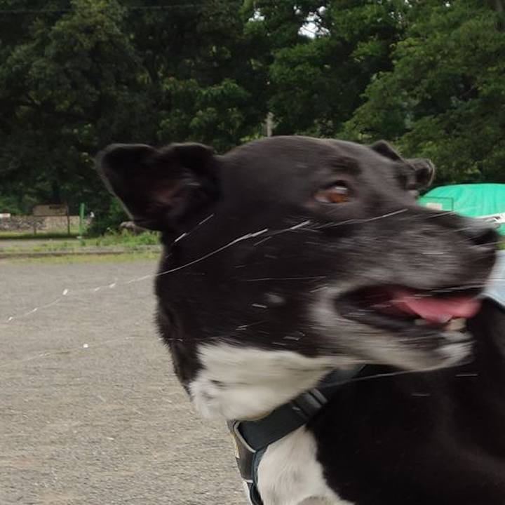 7fc6e949 1745 494d 9e7c 80cbd34201b9 1717634687148