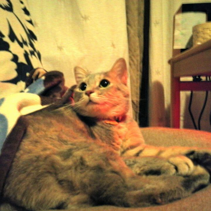 7fc730af 0568 4d2e 98f2 3813d550a760 1554427040718