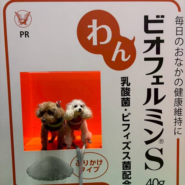 7fc73de8 f594 4c88 ab89 c10d49560bb0 1768195790147