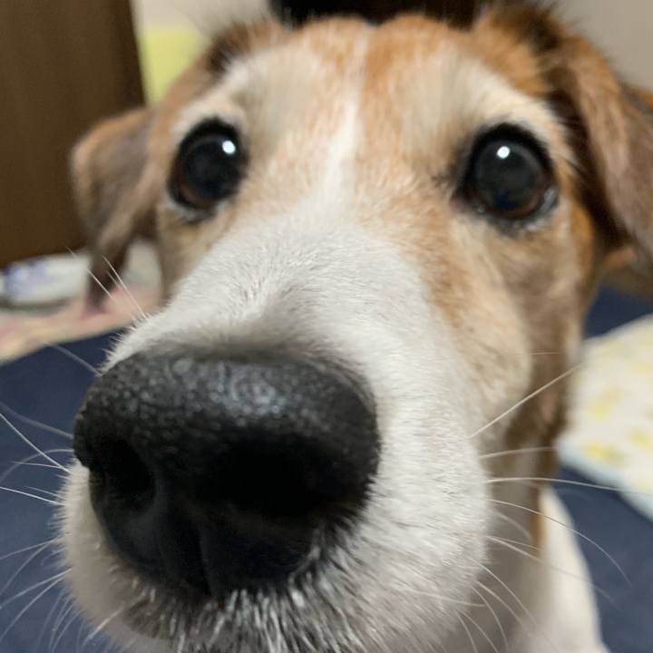 7fc74025 77a3 4ec6 ad49 f4c051dbf1c0 1561471292478