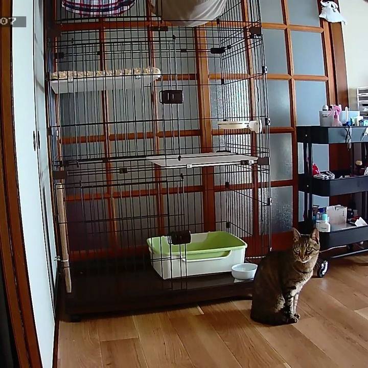 7fc759a8 8d57 4686 a0f2 3e85885a9fb0 1567726613122