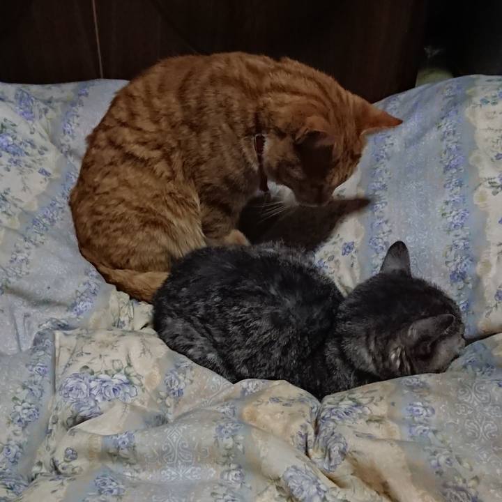 7fc75d40 2cde 45bf 8aa0 08a23ac093f3 1573302641604