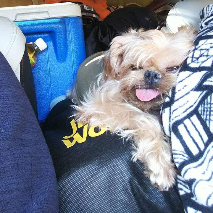 7fc76c9b 91d6 43d4 a469 cda53e3bcf93 1542691137032