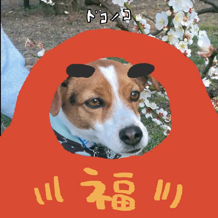 7fc7700f 5e3b 40a4 96df 9544a51e2f8b 1771924484766