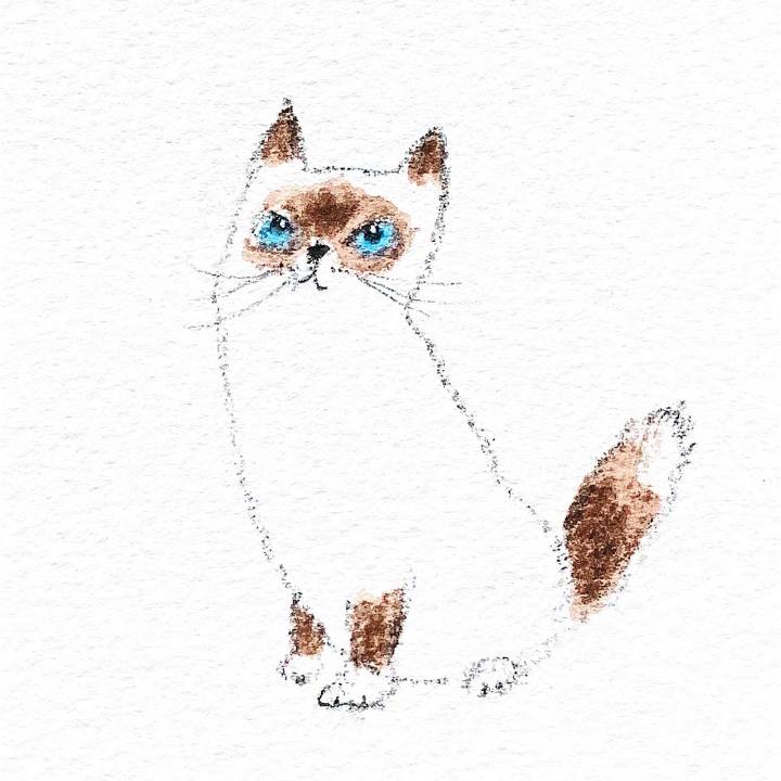 7fc7842b 8bc4 49d9 aed2 3f8b0f50cdfe 1671839162199