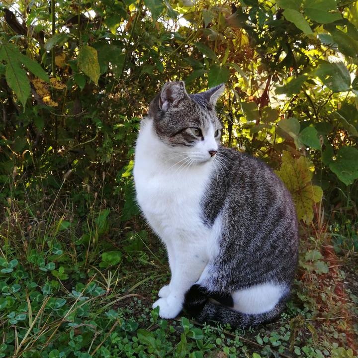 7fc78798 bf46 4ec2 bdec dcdb9d251cd5 1606353155181