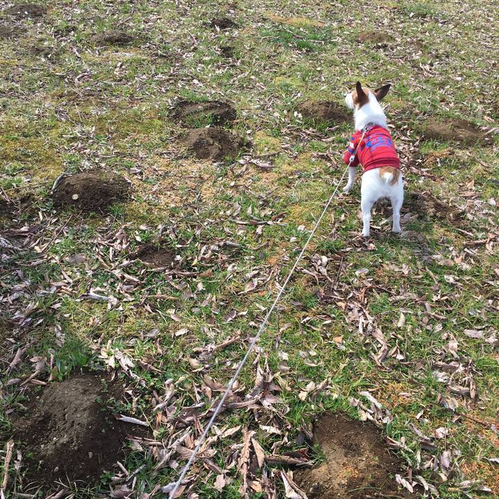 7fc7d8cb b0c5 4dcd 952b 0ceaca1273fa 1583119579104