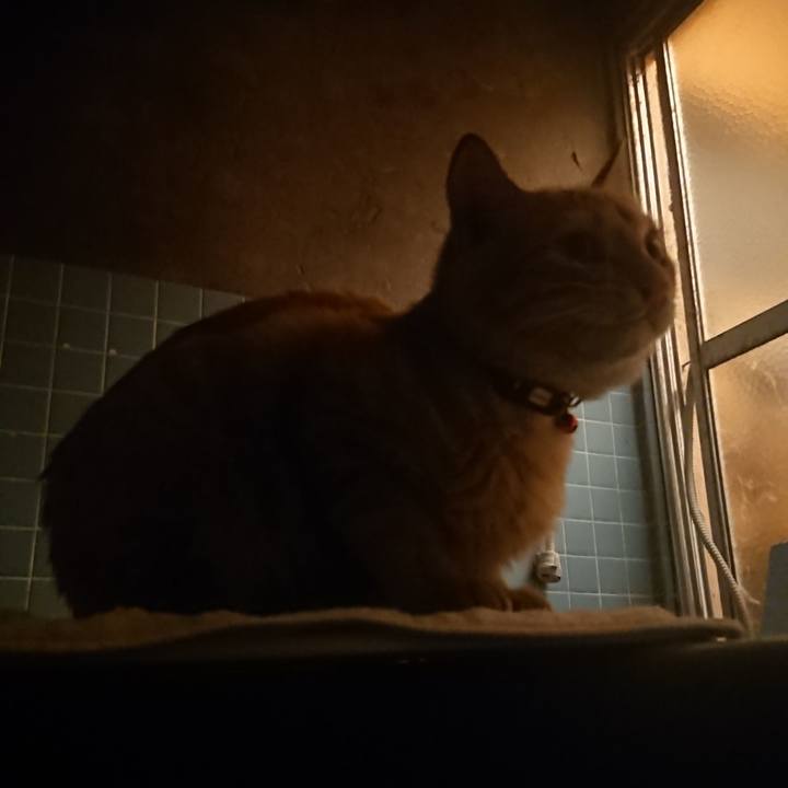 7fc87991 f505 4ee8 9898 f7a8c8561a85 1636194332577