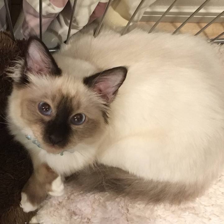 7fc87a59 c80e 45fd b3b1 aba52634e2c5 1508942441977