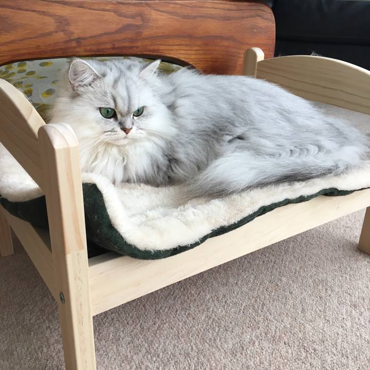 7fc89f2e 02da 4578 a411 cf2ff085c6a4 1509157889502