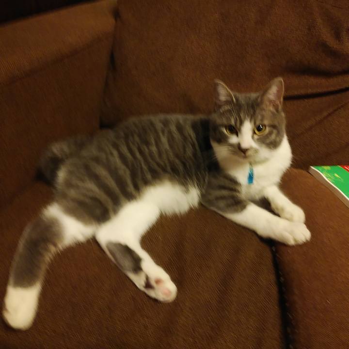 7fc8aa2c 9664 4611 a88b e17c526ed796 1578664989212