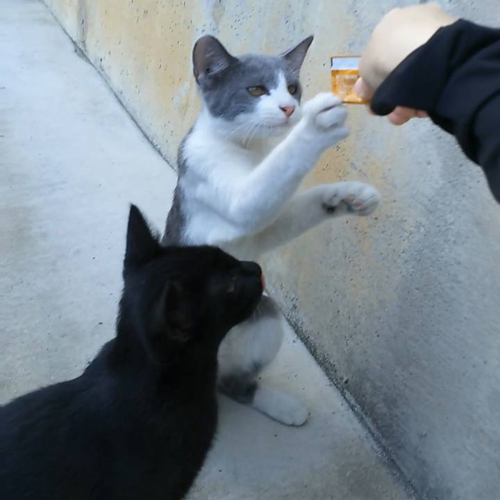 7fc8e4c6 0d57 4573 9352 cc3318d5bc6c 1534238602570