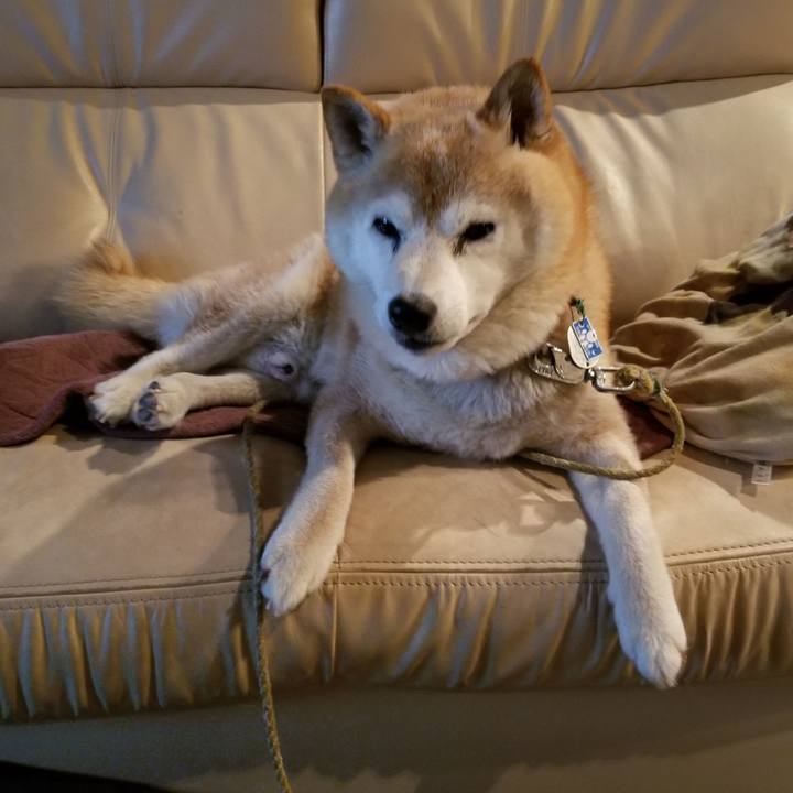 7fc8eade e30f 4de4 80de 79fb26650d13 1719657745555