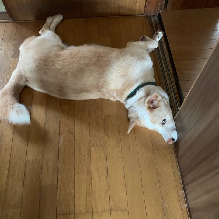 7fc8fb5c 555b 4e63 84c9 e529fc8b23b4 1562818088547