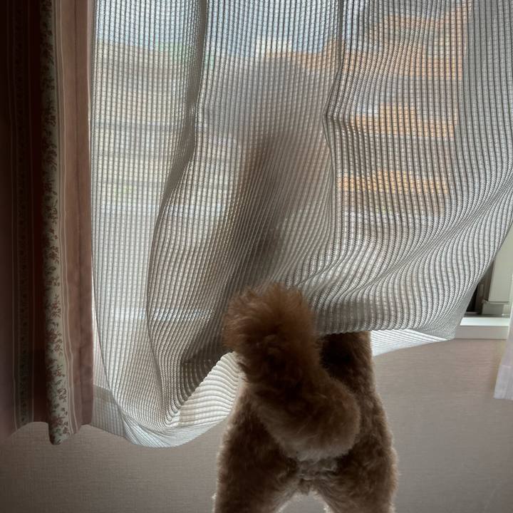 7fc91cf2 caba 42ca 8f7e 8a0cc6772e17 1660228082233