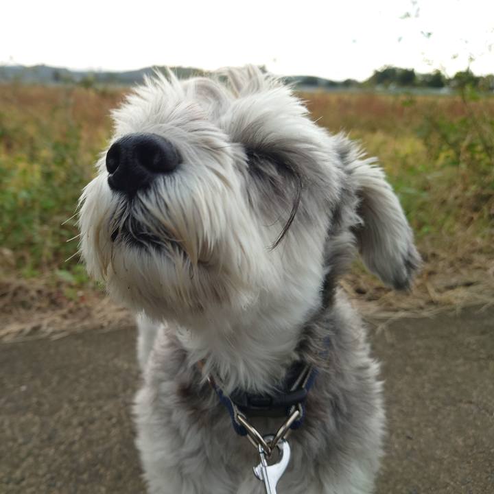 7fc92959 ccb3 474d b847 96c03f1f629f 1760397777895