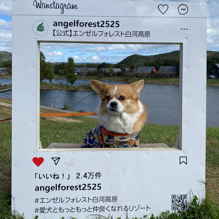 7fc961ac 4714 4efc 9cc1 7486ed884e62 1729578101501