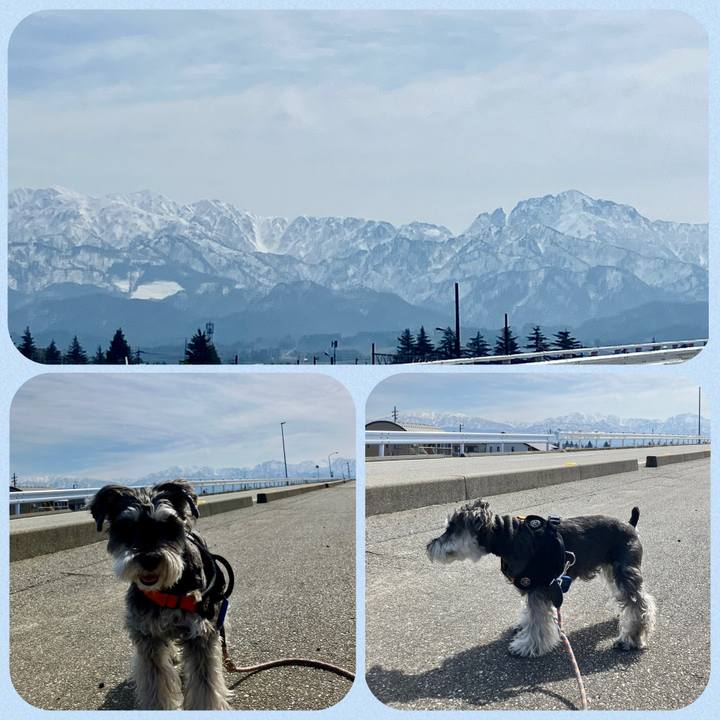 7fc96455 3073 4af1 9b1a 2ce42d736be9 1773984640850