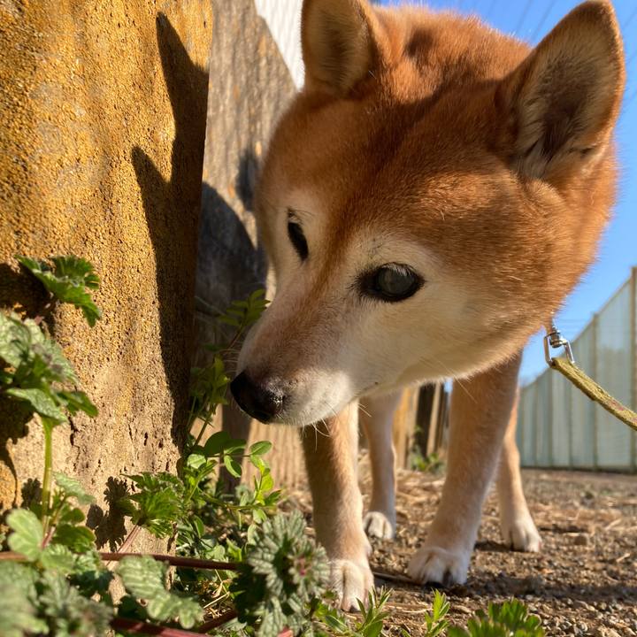 7fc972f9 b0cd 4298 914a c0b64ab558b4 1706578504675