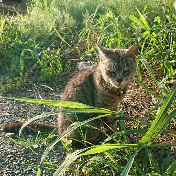 7fc99f63 ffb5 47a0 b14d c5d3db8bc2a9 1564693301331