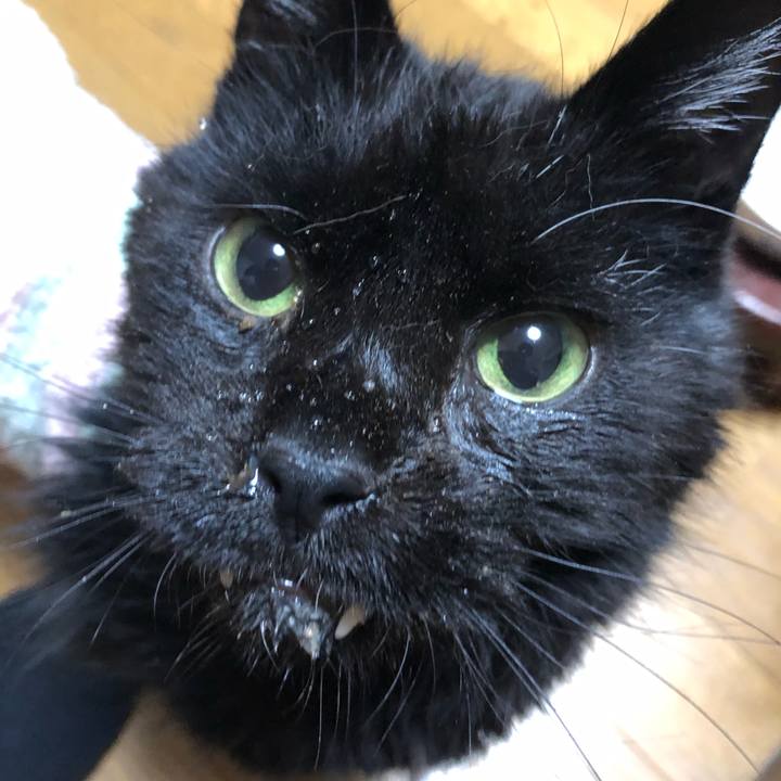 7fc9c472 fad1 491b 90cc a5af2fc2a0c3 1646299671072