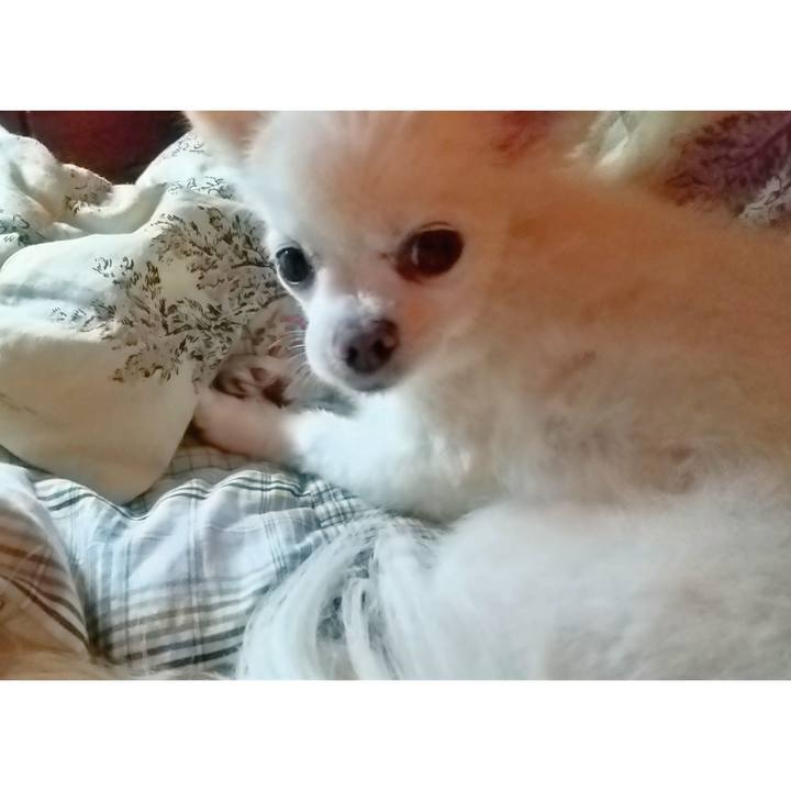 7fc9f56c 34aa 4d7e aa77 3a56c243e743 1626465114503