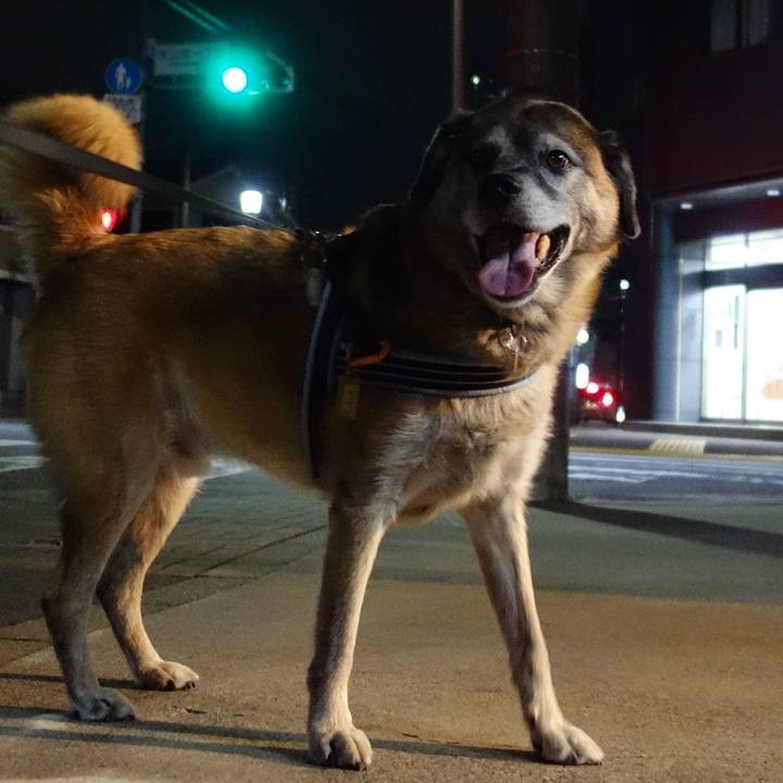 7fcaac4c 0818 4d95 84b3 7f57073eb25c 1569063669356