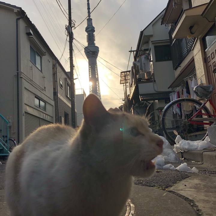 7fcad53e 04f0 4898 9e8f 5a4e38faddde 1516973580988